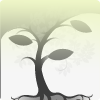 The Money Tree